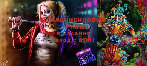 прущие крисы Армянск