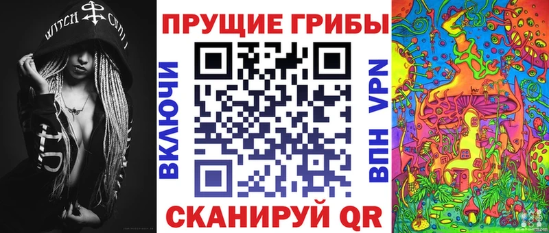 Галлюциногенные грибы Psilocybine cubensis цена наркотик Мегион